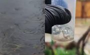 ����� ��� �����������