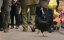 �������. ��� � ���� / Kota / Hen - �����