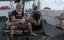    / Man vs Shark - 