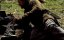  / The Ungulate - 