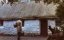   / The Quiet Man - 