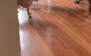 ��� �� , �� ����� ��� � �����