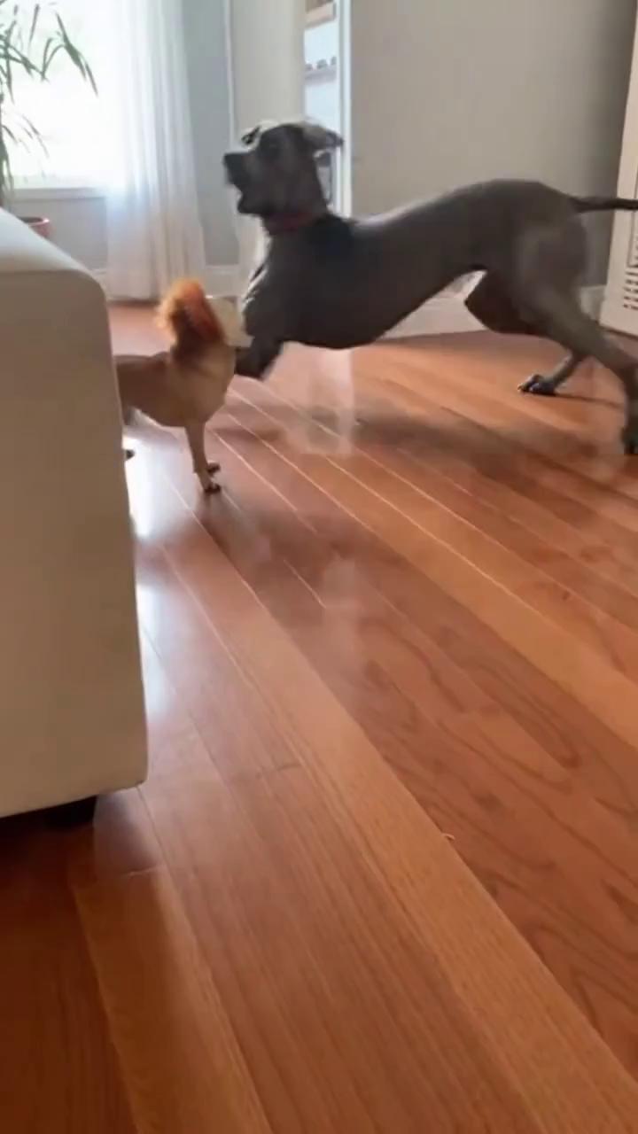 ������