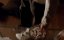    / Breaking Bad - 5 , 2  ""