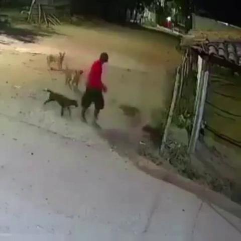 ������