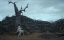  / Tumbbad - 