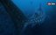 ���������. ������� ���������� ���� / Galapagos: Realm of Giant Sharks - �������