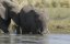 ������� ����� ������ / Great Parks of Africa - 2 �����, 4 �����