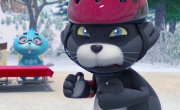��������� ����� �������� �� ������� �� ����
