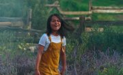     / Lovely Little Farm - 1 , 5 