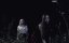   / Poppy Loftus - 