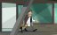    / Phineas and Ferb - 5 , 12 