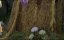    / Sister Boniface Mysteries - 4 , 2 