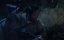   / Les derniers hommes - 