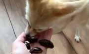 ����� � ��� ������� ������
