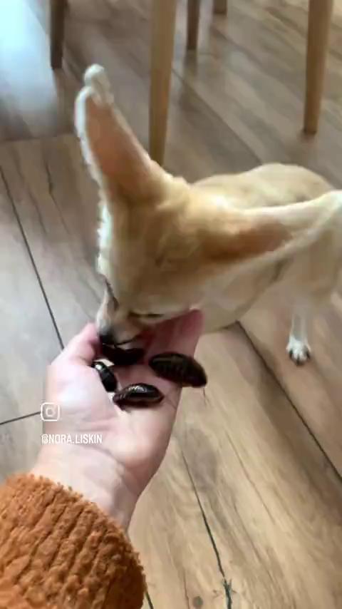 ������