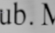  / Hippo - 