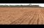  / Cowspiracy: The Sustainability Secret - 