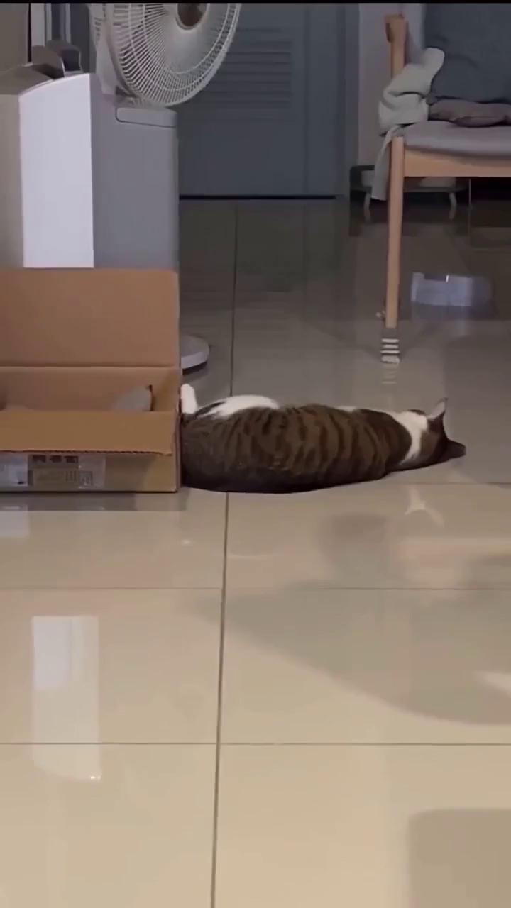 ������
