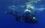    / Aliens of the Deep - 