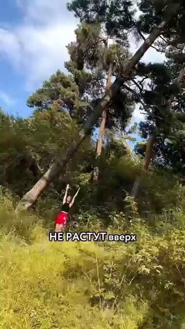 ������