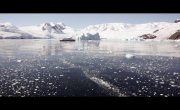 :     / Antarctica: A Message from Another Planet -  