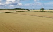 ����� ��������� / Clarkson's Farm - 5 �����, 8 �����
