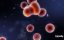 :    / Viruses: Destruction and Creation - 