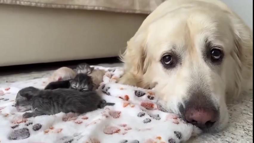 ������