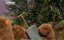 ������-��� / The Muppet Show - 5 �����, 3 �����