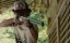   / Aiamuahiro / I Am a Hero - 