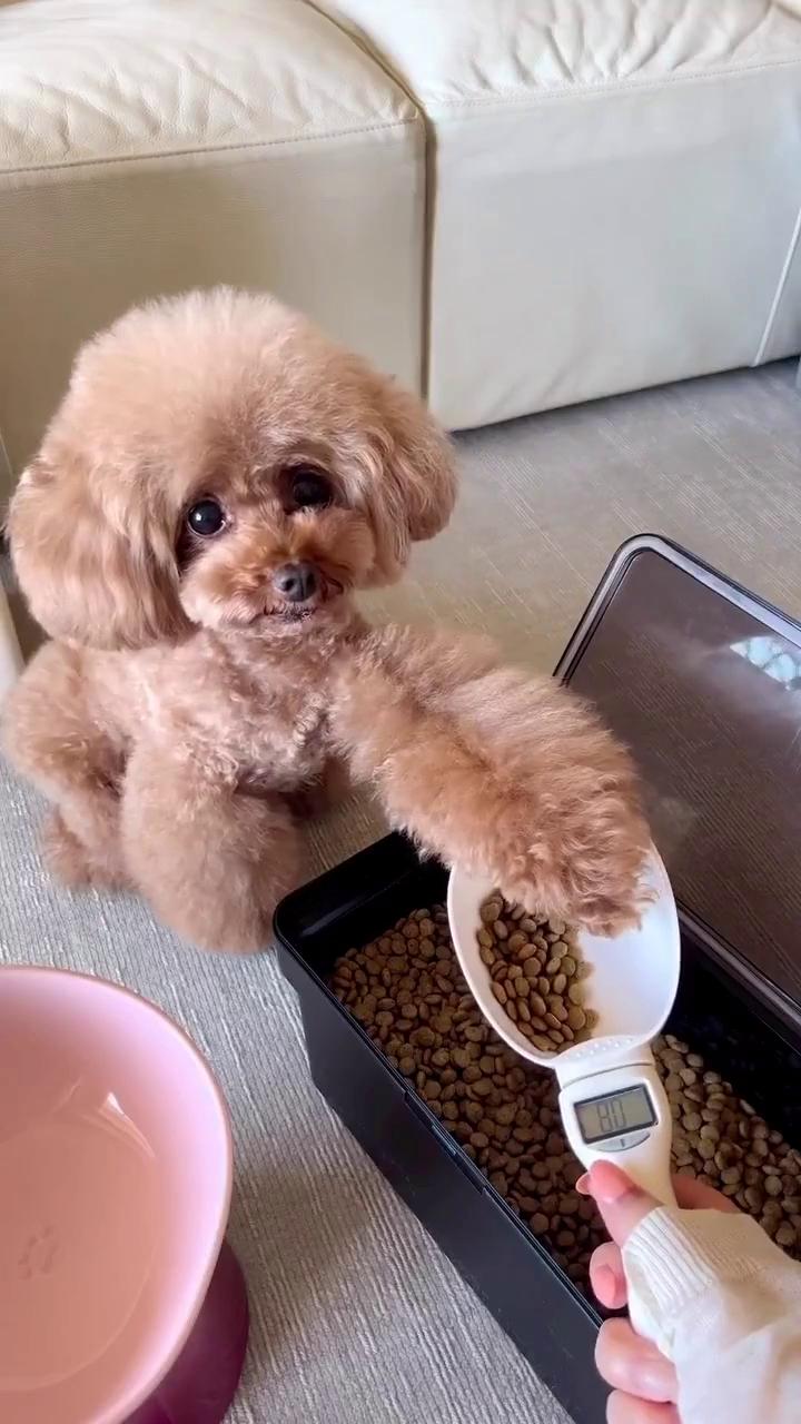 ������