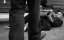   / Jack Falls - 