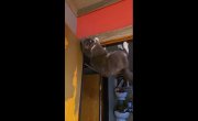 ������� ������ � ������������������� ��������