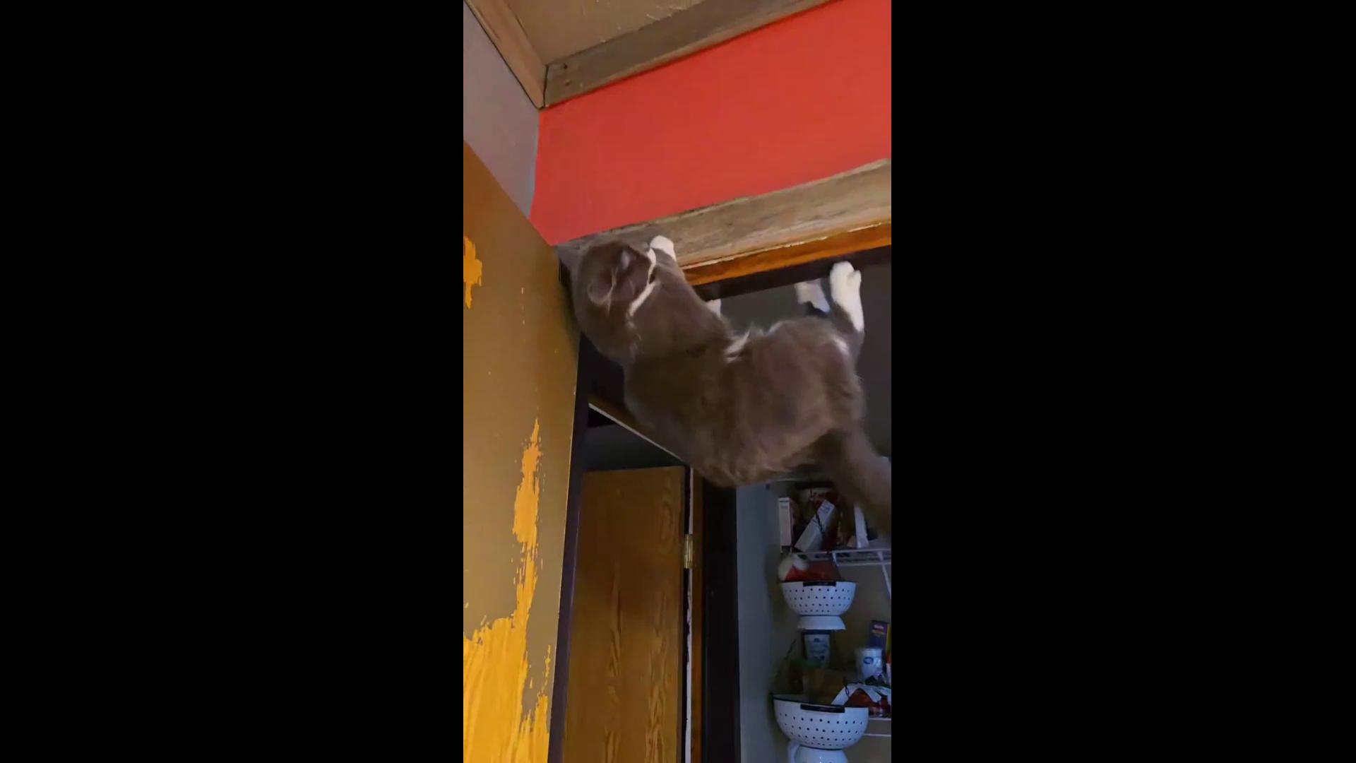 ������