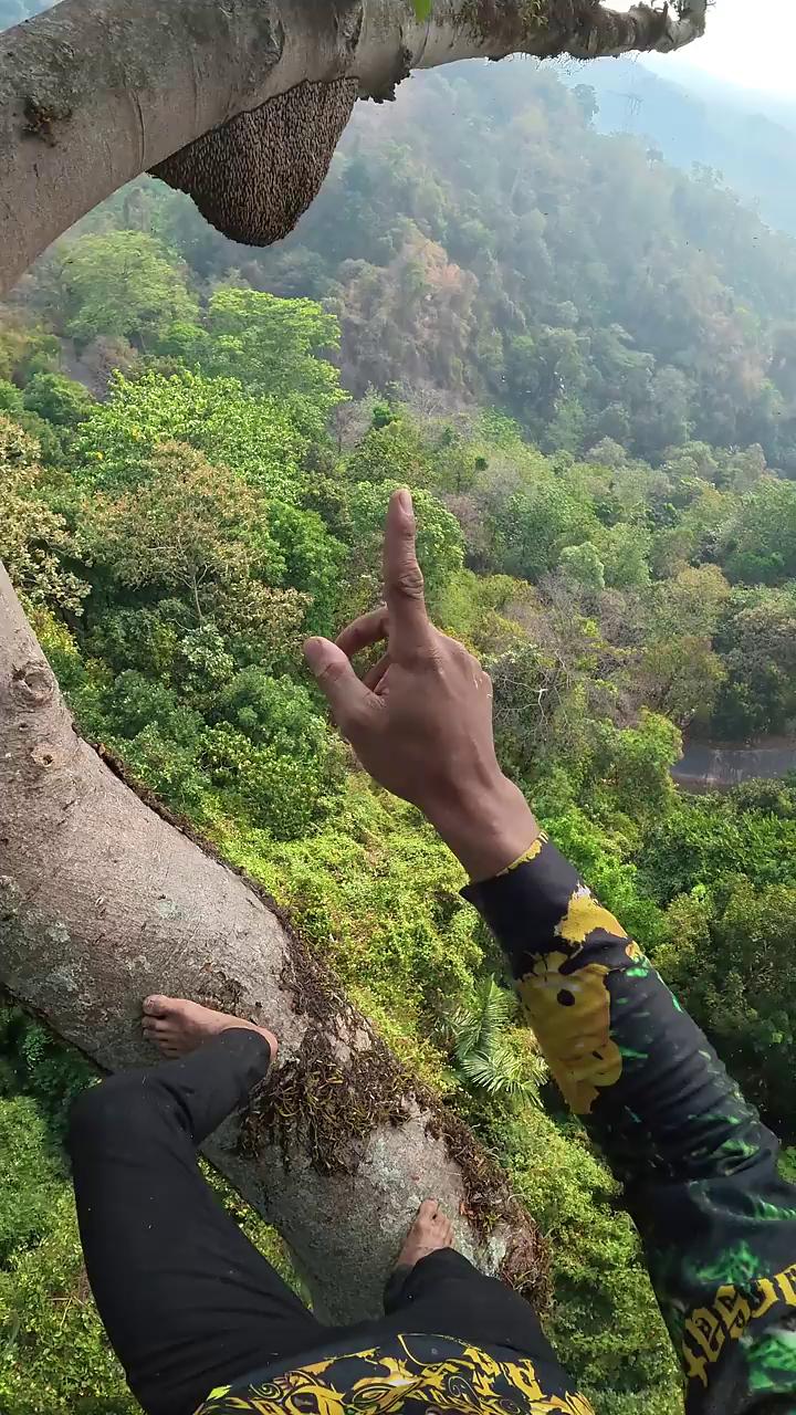 ������