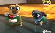 ������� ����� / Puppy Dog Pals - 4 �����, 11 ����� "������ ������"
