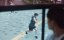 :  / Syakeu: deo seutom (Shark: The Storm) - 1 , 1 