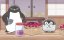 ����� / Koupen-chan - 1 �����, 72 �����