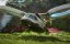 Wild Life Game - New Cinematic Trailer + Release Date