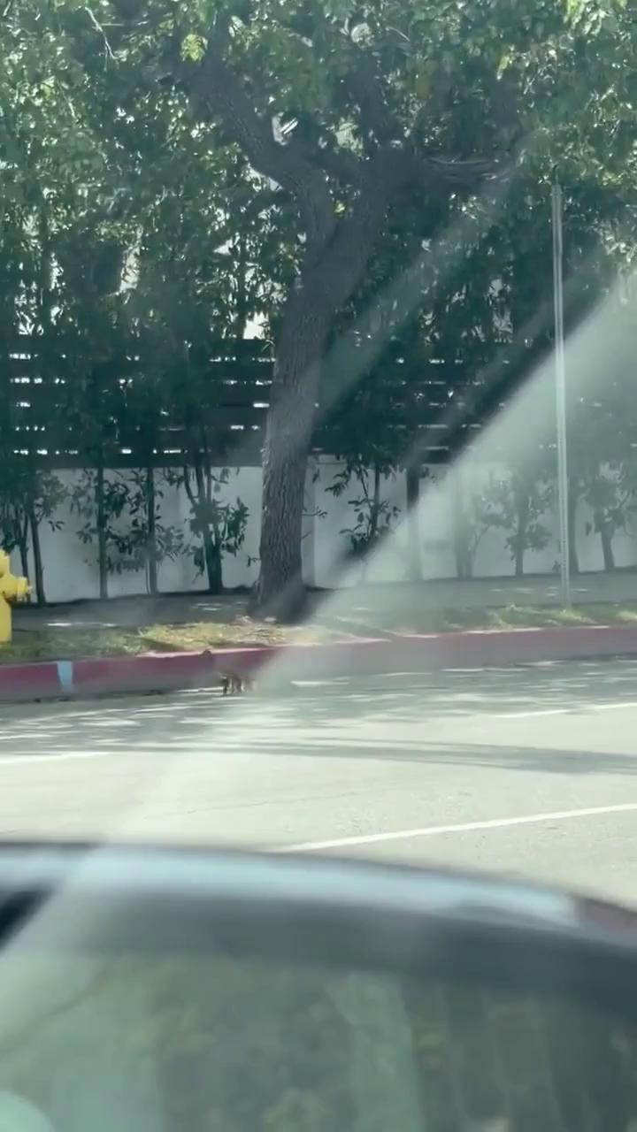 ������