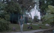     / Of Dogs and Men - 
