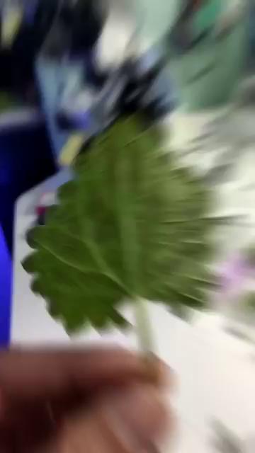 ������