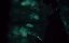   / Hemlock Grove - 3 , 10  ""
