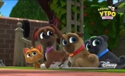 ������� ����� / Puppy Dog Pals - 5 �����, 4 ����� "����������� ��������"