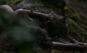 �������, ���� � ������� / The Wolf, the Fox and the Leopard - �����