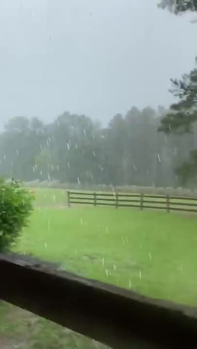 ������