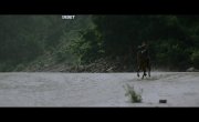 ������������� / The Revolutionaries - 1 �����, 2 �����