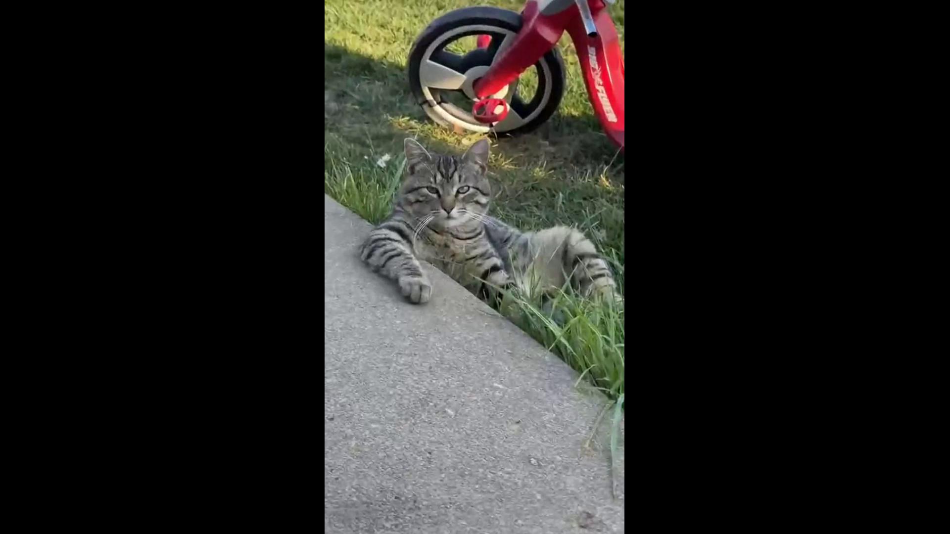 ������