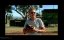   / Bad News Bears - 